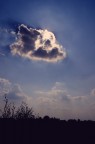 Prima uscita con la Sony a33.
Commenti e critiche sempre ben accetti :)