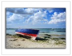 la barca blu