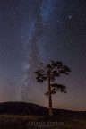 La Via Lattea vista dal versante nord dell'Etna