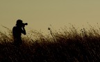 Caccia fotografica con Nikokap a sua volta "catturato"

c&c graditissimi