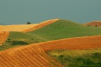 Volterra PI 
Eos 1D MK III + Tamron 70-300 VC LD HSM 1/30 F:5,6 mano libera