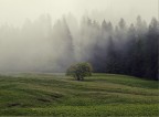 Dolomiti 7