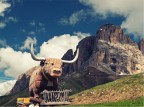 Dolomiti 9