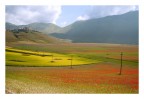 la mia prima volta a castelluccio. Indimenticabile!