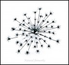 Natural fireworks