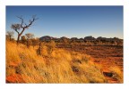 Foto scattata subito dopo l'alba, nel freddo mattino del deserto centrale australiano