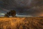 savana padana