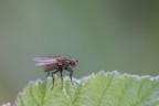 canon 60d 180 sigma iso 800 1/5 f11