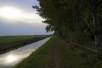 Breve escursione in un parco poco distante da casa mia.
Tra i vari scatti realizzati, pensavo di sottoporre al forum questo.