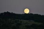Moon rise