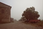 Poggio V