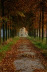autunno