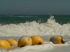 mare mosso
