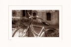 La bici...