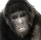 Autoritratto Autoritratto