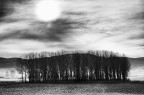 Tutti in fila