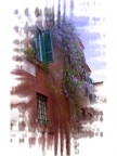 trastevere dream