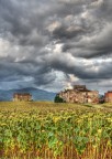 il campo
