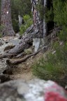 Sul GR20 in corsica