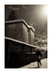 neve