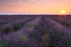 Una bellissima alba nei pressi di Valensole.
Alcune info qui:
http://www.fabionodariphoto.com/ita/articoli/provenza.html