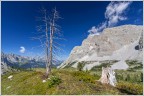 Campo Flavona - dolomiti di Brenta.
 HD  http://imageshack.com/a/img89/8906/423q.jpg