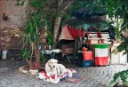 Roma - Trastevere 
La cosa pi bella di questo scatto  che  fatto in pieno centro.
Roma ancora regala angoli segreti di umanit.