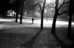 il parco...