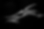 Bodyscape