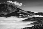 Vision B&W