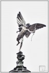 Piccadilly Circus

Altre foto qui : 
https://www.facebook.com/pages/LQuadro/296470903800598?fref=ts