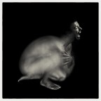 MetaMorfosi
