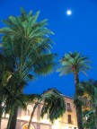 Blue Sky