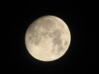 luna 1