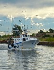 Ritorno dalla pesca