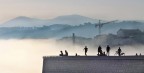 nella nebbia
