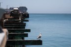 CANON 30D - 73mm
1/2000s - f/4 - 100iso