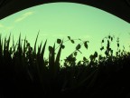 ELIPSE