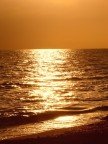 ORANGE SKY