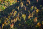 Autunno nelle alpi liguri