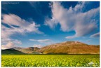 Fioritura a Castelluccio
Commenti e critiche ben accetti come sempre,
Buona serata a tutti!