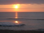 alba 2