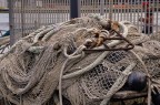 Al porto di Pescara