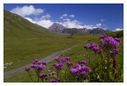Img_0560