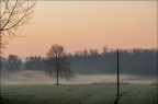 L'odore dell'aria...