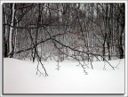Neve a Monte Pennino