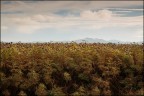 MG_9592