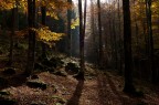 Primo autunno
