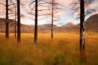 Wild land