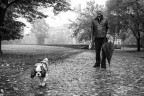 il Sig. Elvio e il suo cane il Sig. Elvio e il suo cane